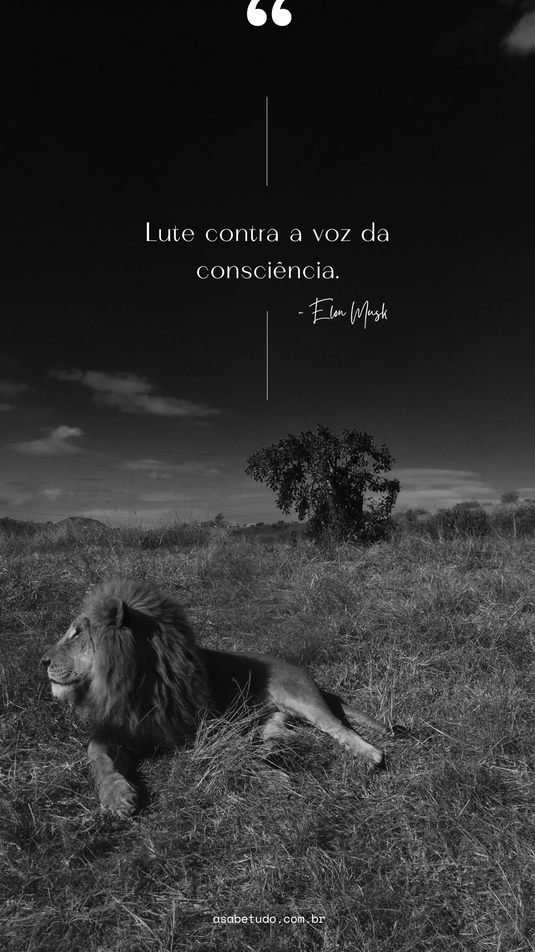 10 Frases Inspiradoras de Elon Musk